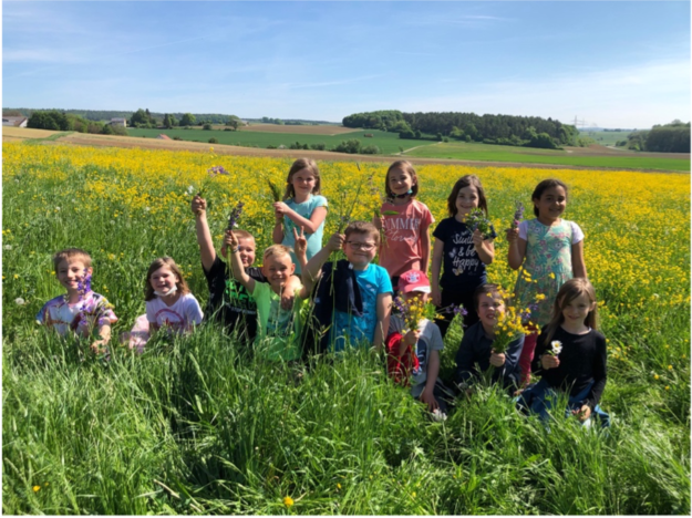 besuch_auf_der_wiese2